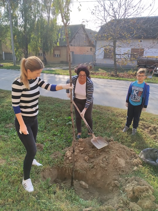 Kolektivna sadnja drveća u Iloku 2019.